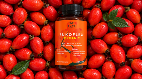 Antioxidant Support