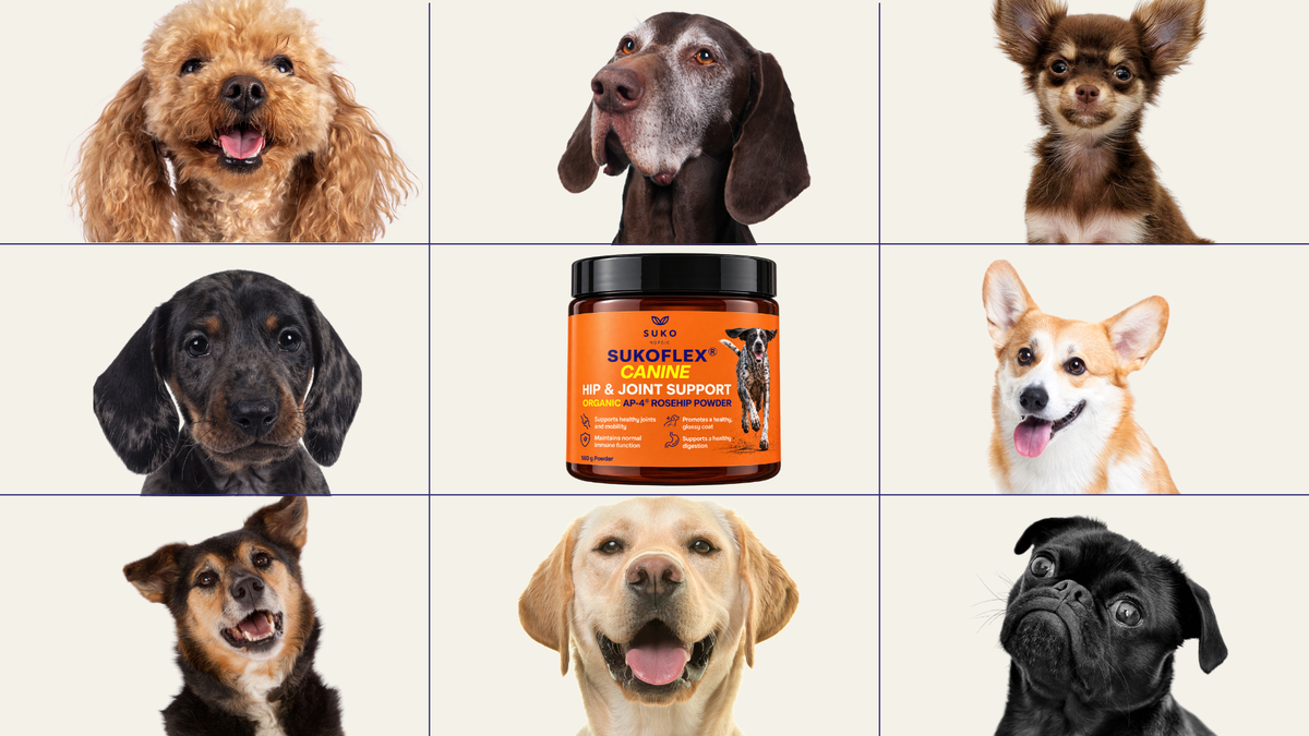 NEW: SUKOFLEX® CANINE Has Arrived!