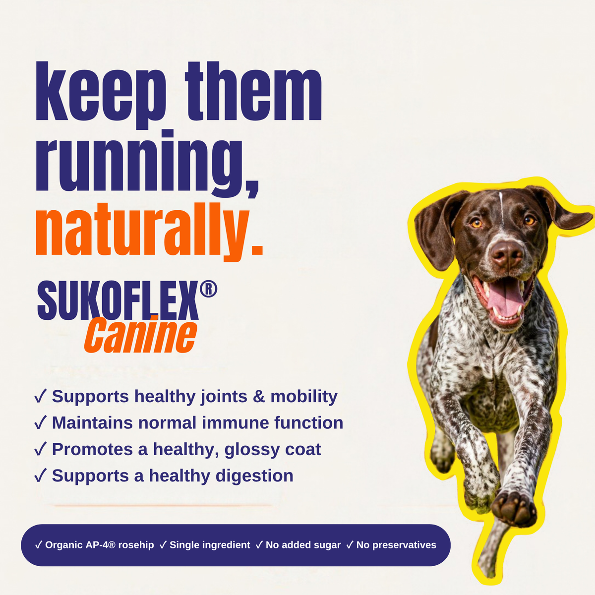 SUKOFLEX® CANINE Organic Rosehip Powder – 180 g